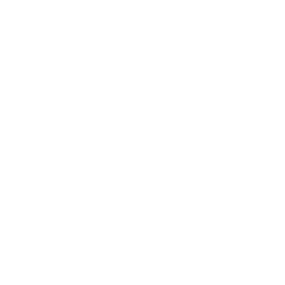 cheap-zone-icon
